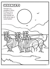 Load image into Gallery viewer, NEW! More than Peach® "There's No Coloring Rule Book" (NO RULES II) Coloring Book BUNDLE!