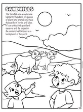 Load image into Gallery viewer, NEW! More than Peach® "There's No Coloring Rule Book" (NO RULES II) Coloring Book BUNDLE!