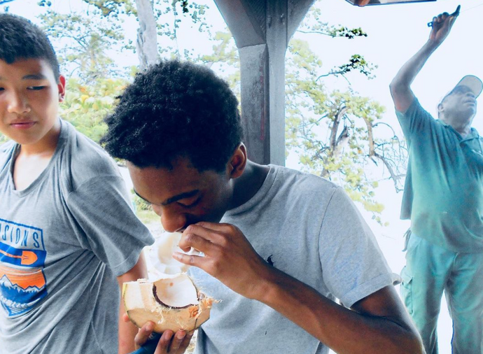 Happy National Coconut Day!