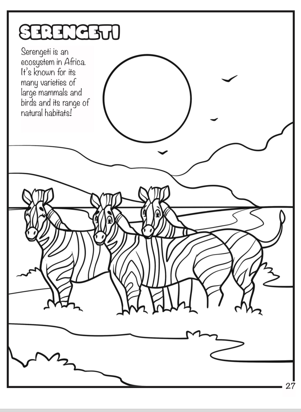 NEW! More than Peach® “There’s No Coloring Rule Book” (NO RULES II) Co